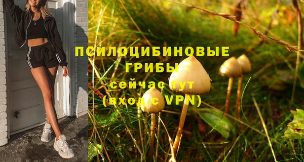 mix Надым