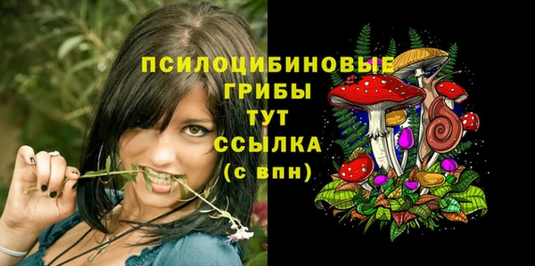 дживик Нефтекумск