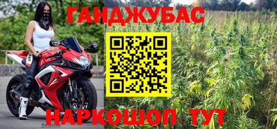 прущие грибы Апрелевка