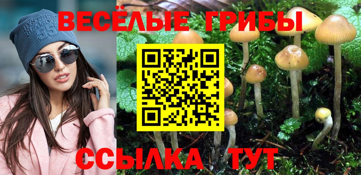 Псилоцибиновые грибы GOLDEN TEACHER  Вход с VPN  Астрахань 